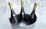 K%c3%bdbl sektu %e2%80%93 3 x bohemia sekt prestige brut
